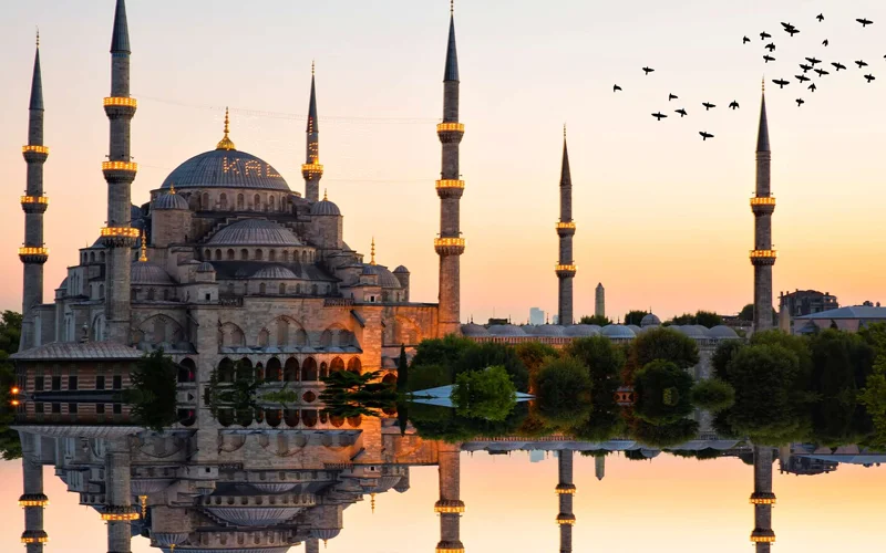 Pago alojamientos, transfers y tours viaje Beatriz y Gustavo