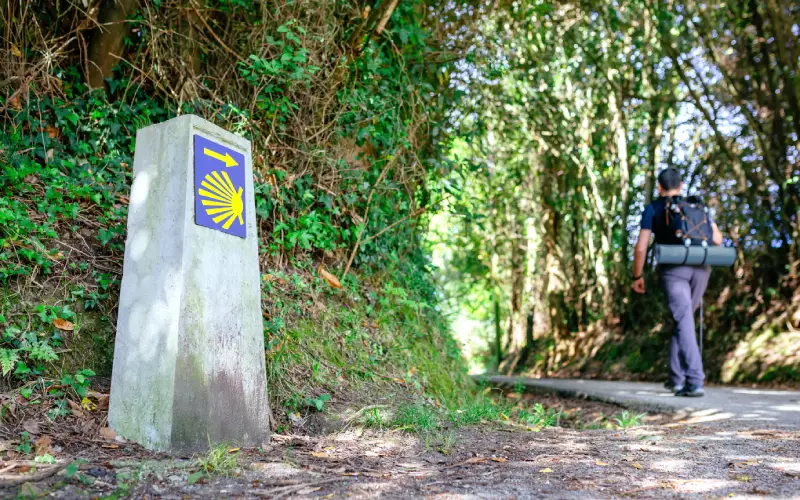 viajar como terapia4
